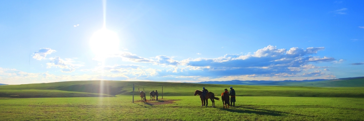 Greening Mongolia (Mongolei)